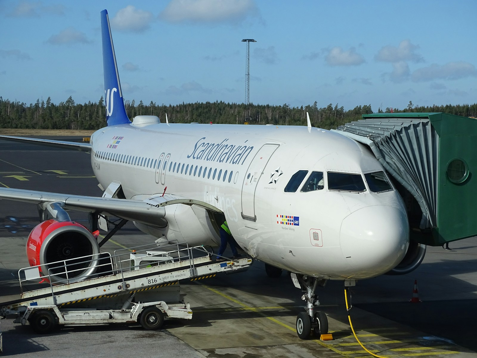 SAS Announces Direct Flights from Malta to Copenhagen Starting March 2025