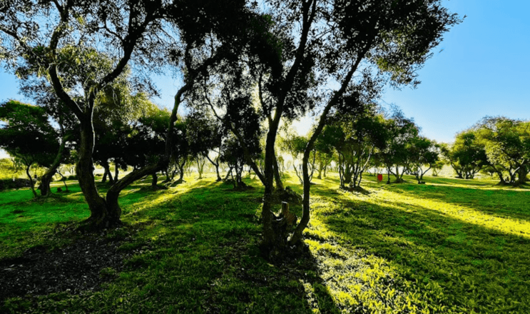 A New Popular Park in Zabbar: Have You Checked It Out Yet?